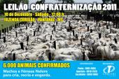 LEILÃO CONFRATERNIZAÃ?Ã?O 2012