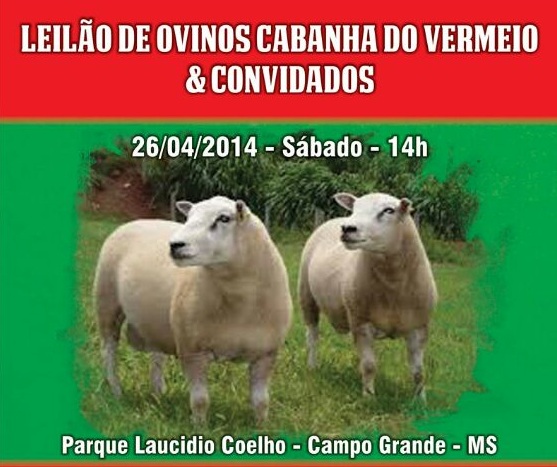 LEILÃO DE OVINOS CABANHA DO VERMEIO & CONVIDADOS