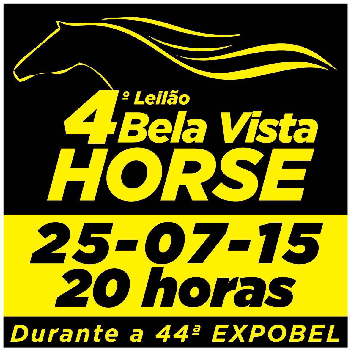 4º LEILÃO BELA VISTA HORSE