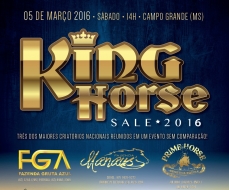 LEILÃO KING HORSE SALE - 2016
