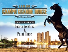 2º LEILÃO CAMPO GRANDE HORSE