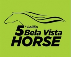 5º LEILÃO BELA VISTA HORSE