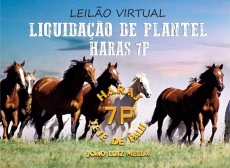 LEILÃO VIRTUAL LIQUIDAÇÃO DE PLANTEL HARAS 7P