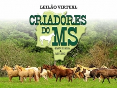 3º LEILÃO VIRTUAL CRIADORES DO MS