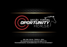 LEILAO VIRTUAL OPORTUNITY HORSE