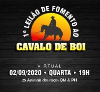 LEILAO VIRTUAL DE FOMENTO AO CAVALO DE BOI