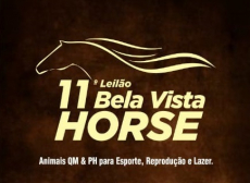 11º LEILÃO BELA VISTA HORSE