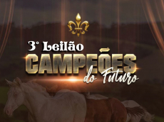 3º LEILÃO CAMPEOES DO FUTURO