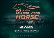 12° LEILÃO BELA VISTA HORSE