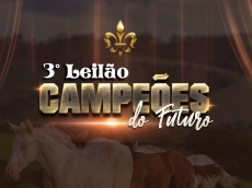 4° LEILÃO CAMPEÕES DO FUTURO