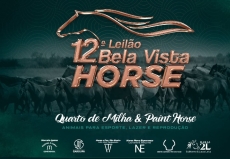13º LEILÃO BELA VISTA HORSE