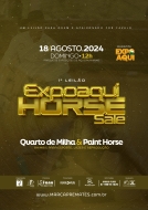 1° EXPOAQUI HORSE SALE