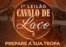 1° LEILÃO CAVALO DE LAÇO