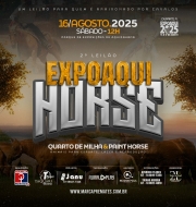 2° LEILÃO EXPOAQUI HORSE 2° LEILÃO EXPOAQUI HORSE