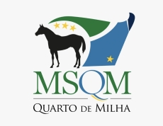1º LEILÃO POTRO DO FUTURO MSQM