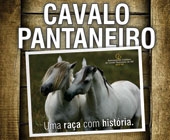 11º LEILÃO DO CAVALO PANTANEIRO