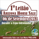 LEILÃO ARIZONA HORSE SALE