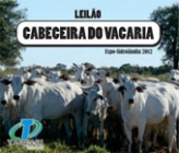 LEILÃO CABECEIRA DO VACARIA