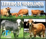 1º LEILÃO LEITEIRO DE SIDROLANDIA