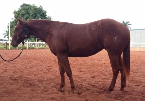 Foto do Lote 018