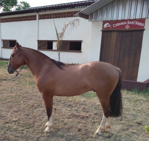 Foto do Lote 03