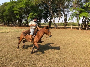 Foto do Lote 06