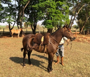 Foto do Lote 05