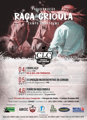 Foto do Lote 13