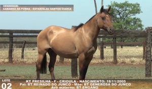 Foto do Lote 002