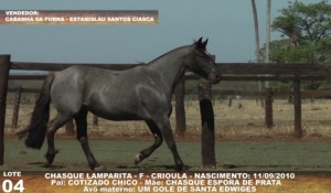 Foto do Lote 004