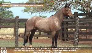 Foto do Lote 008