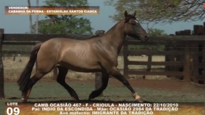 Foto do Lote 009