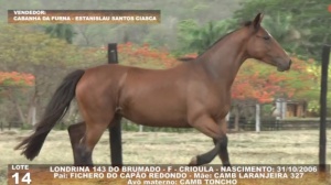 Foto do Lote 014
