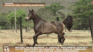 Foto do Lote 015