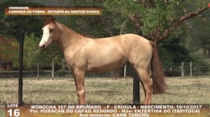 Foto do Lote 016