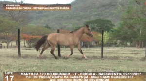Foto do Lote 017