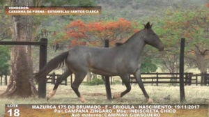 Foto do Lote 018