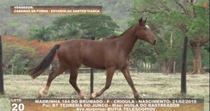 Foto do Lote 020