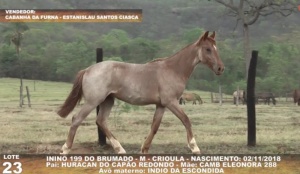 Foto do Lote 023
