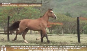 Foto do Lote 024