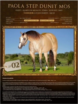 Foto do Lote 002