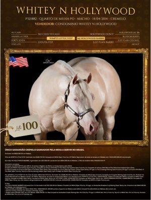 Foto do Lote 100