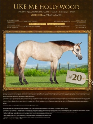 Foto do Lote 020