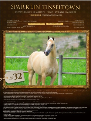 Foto do Lote 032