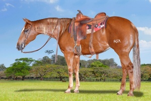 Foto do Lote 016