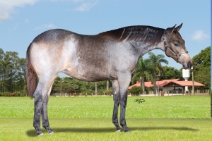 Foto do Lote 004
