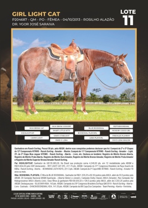 Foto do Lote 011